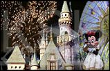 Disneyland Tour (All Day and Evening)